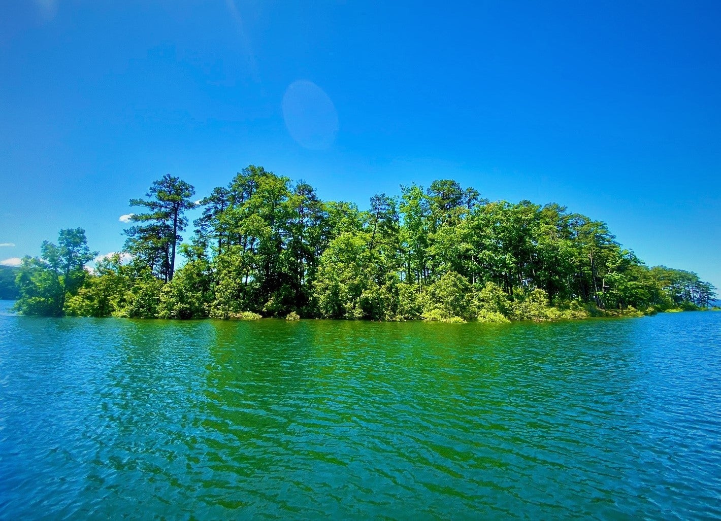 Closer view of an island covered in tall green trees, surrounded by blue-green lake water. 